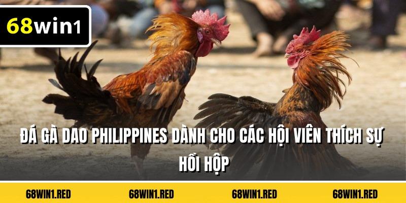 Đá gà dao Philippines dành cho các hội viên thích sự hồi hộp